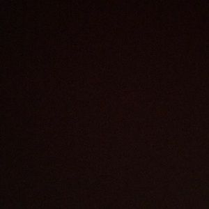 Meet your Posher, Audrey